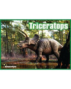 Puzzle Triceratops