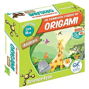 Os Primeiros Passos no Origami