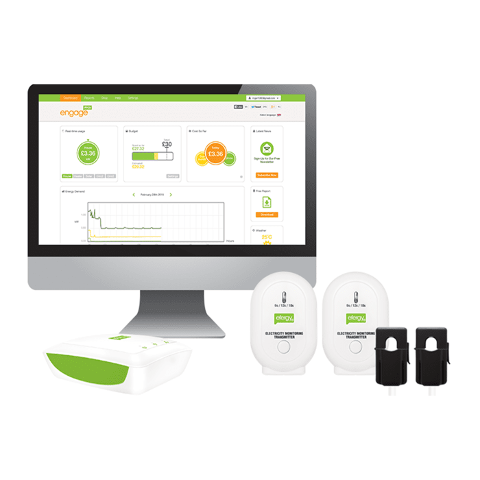 Monitor de Energia Efergy Engage Solar Kit (Autoconsumo)