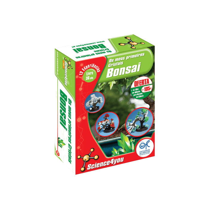 Os meus Primeiros Cristais Bonsai