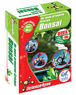 Os meus Primeiros Cristais Bonsai