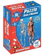 Puzzle Ossos e Músculos